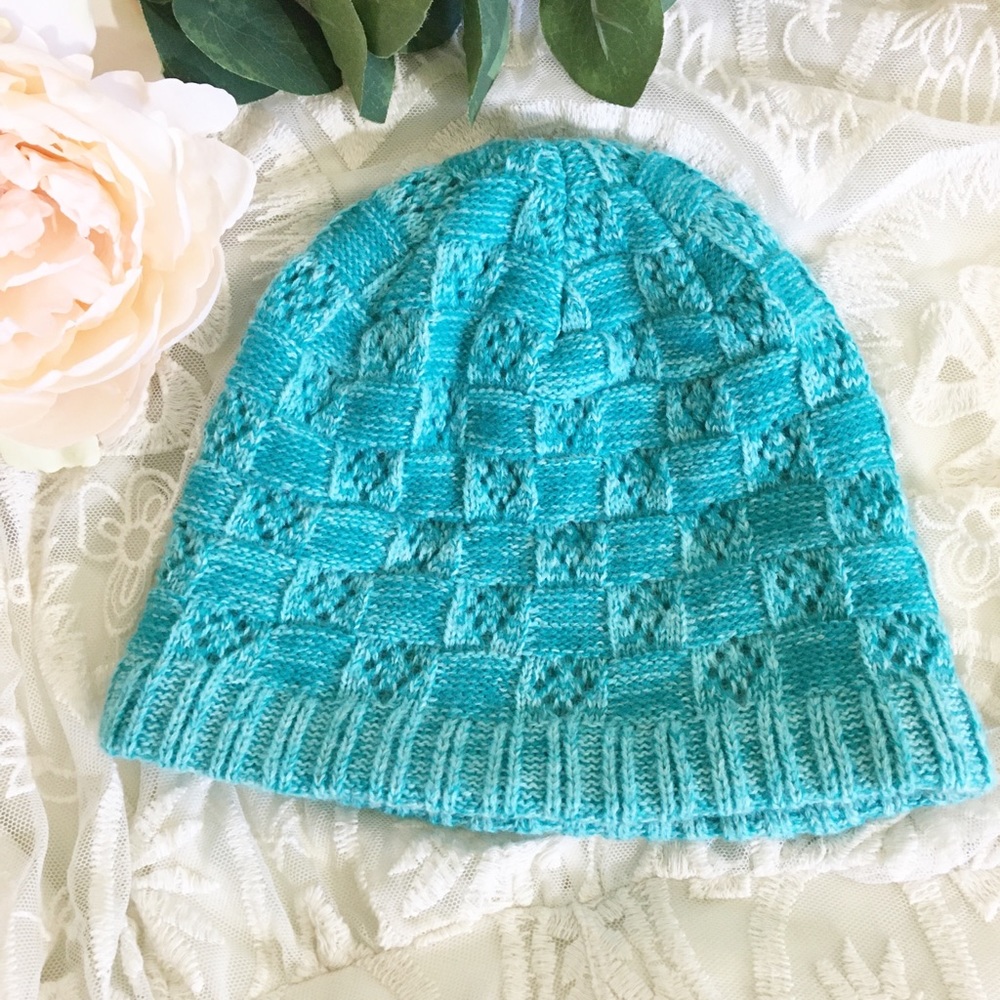 Champion Teal Beanie with Fleece Lining